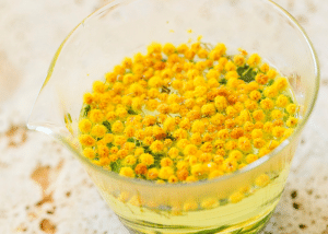 du mimosa qui infuse dans une tasse